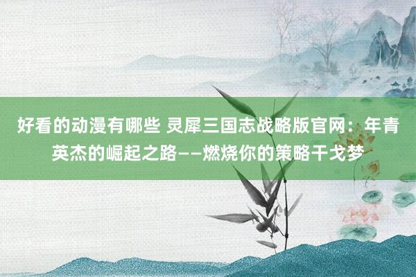 好看的动漫有哪些 灵犀三国志战略版官网：年青英杰的崛起之路——燃烧你的策略干戈梦