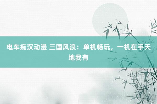 电车痴汉动漫 三国风浪：单机畅玩，一机在手天地我有