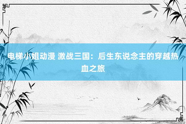 电梯小姐动漫 激战三国：后生东说念主的穿越热血之旅