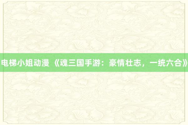 电梯小姐动漫 《魂三国手游：豪情壮志，一统六合》