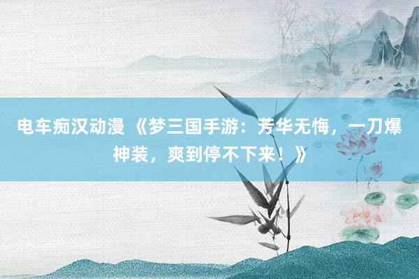电车痴汉动漫 《梦三国手游：芳华无悔，一刀爆神装，爽到停不下来！》