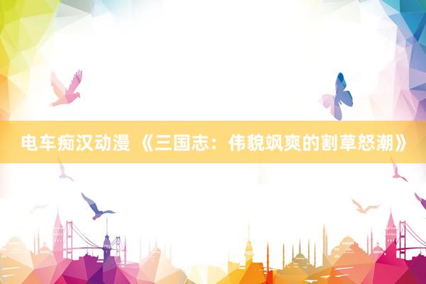 电车痴汉动漫 《三国志：伟貌飒爽的割草怒潮》