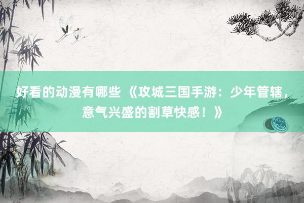 好看的动漫有哪些 《攻城三国手游：少年管辖，意气兴盛的割草快感！》