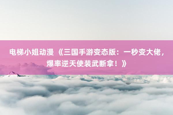 电梯小姐动漫 《三国手游变态版：一秒变大佬，爆率逆天使装武断拿！》