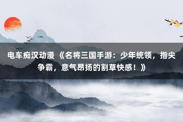 电车痴汉动漫 《名将三国手游：少年统领，指尖争霸，意气昂扬的割草快感！》