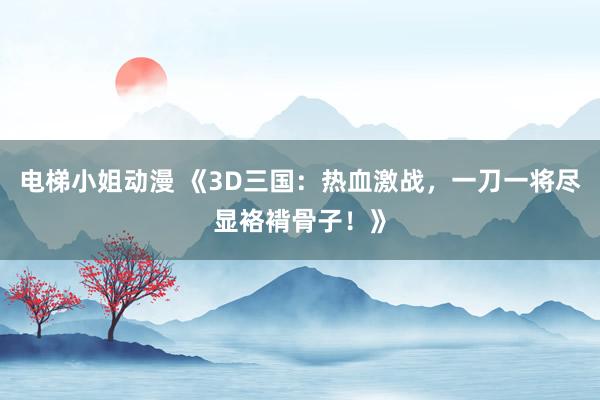 电梯小姐动漫 《3D三国：热血激战，一刀一将尽显袼褙骨子！》