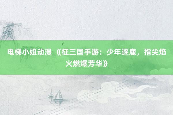 电梯小姐动漫 《征三国手游：少年逐鹿，指尖焰火燃爆芳华》