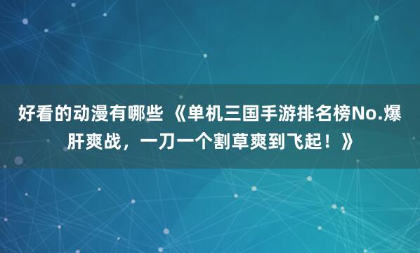 好看的动漫有哪些 《单机三国手游排名榜No.爆肝爽战，一刀一个割草爽到飞起！》