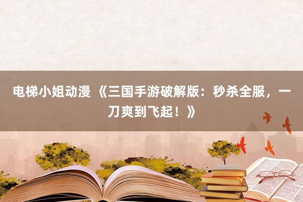 电梯小姐动漫 《三国手游破解版：秒杀全服，一刀爽到飞起！》